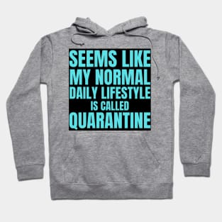 Seems Like My Normal Daily Life Is Called Quarantine Funny Introvert Autism Hoodie